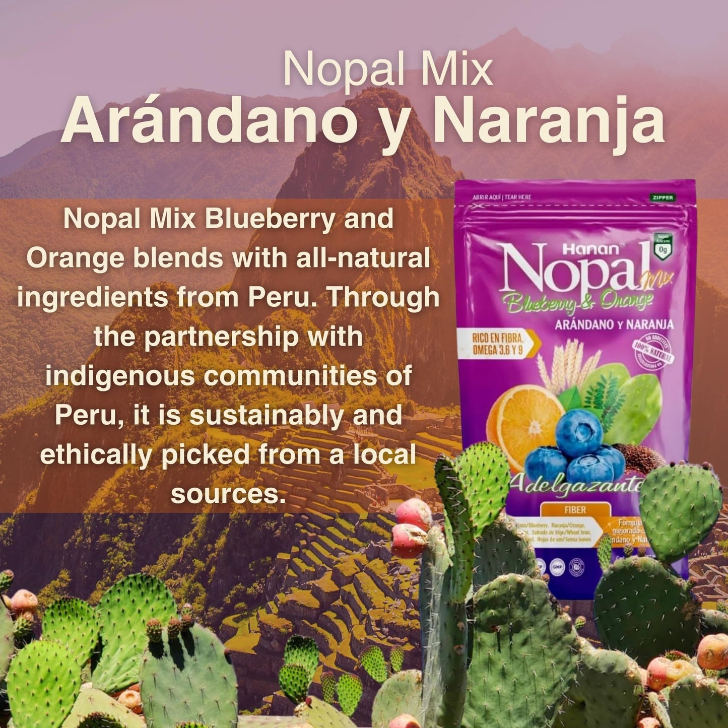 NOPAL MIX Arandano con Naranja - Blueberry with Orange Mix Powder Fiber 16 oz