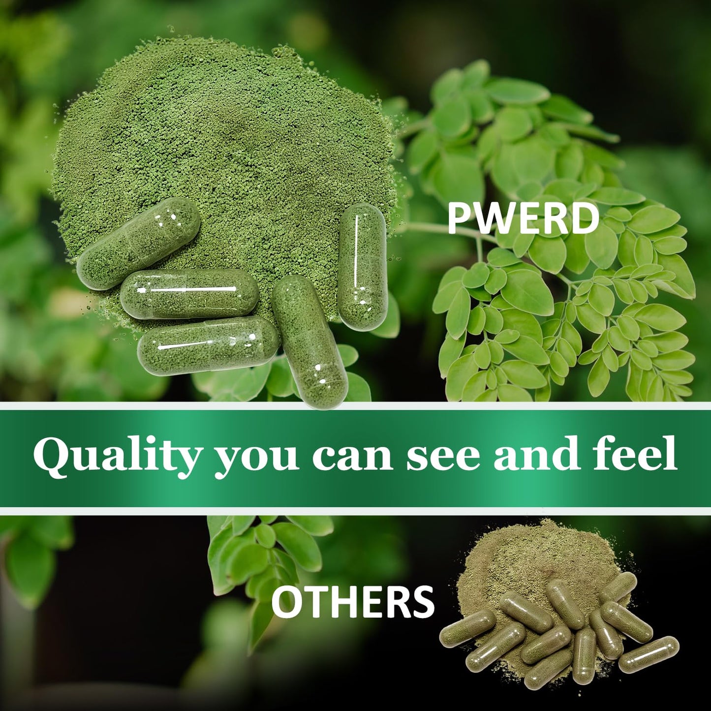 PWERD Moringa Pure Powder Oleifera Leaf Gummies, 200 Count