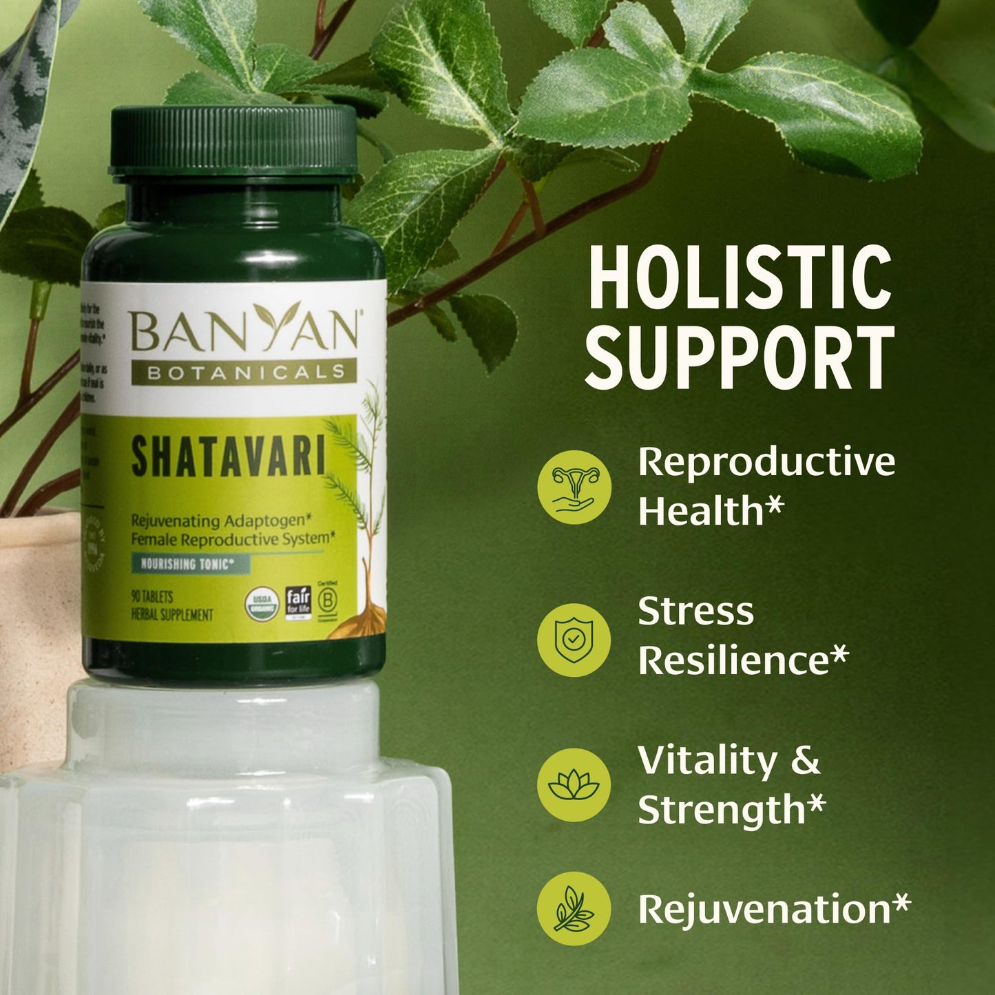 Banyan Botanicals Shatavari Tablets 90 Count