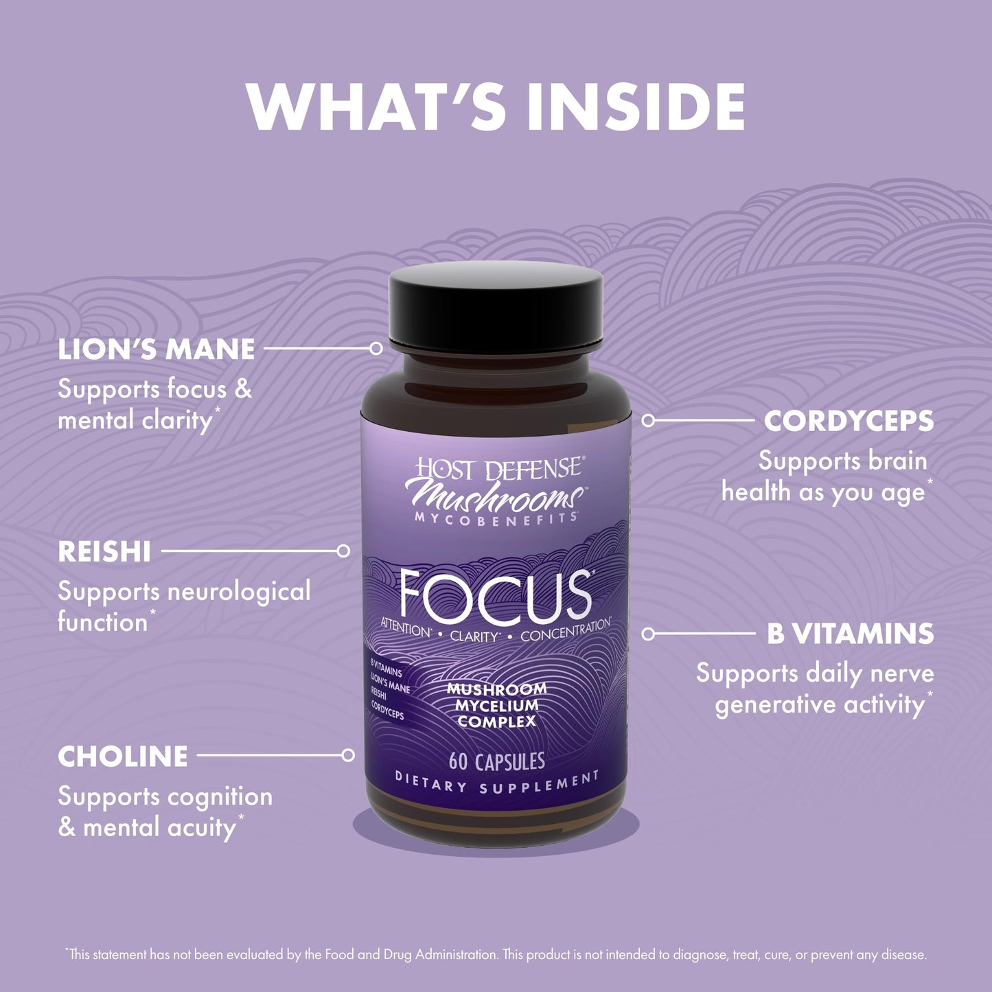 Host Defense MycoBenefits Focus Capsules, 60 Capsules