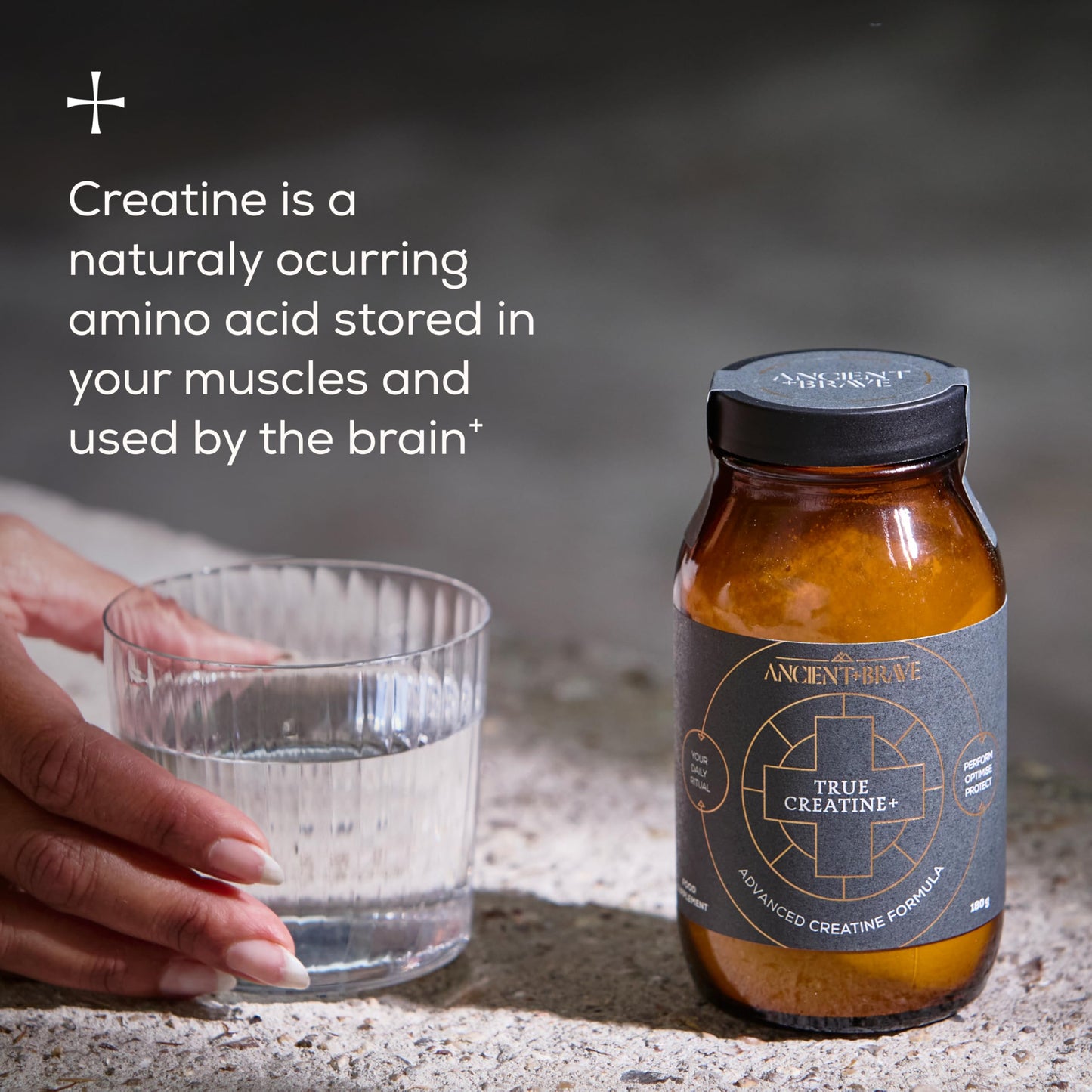 Ancient + Brave True Creatine+ Powder 6.34oz