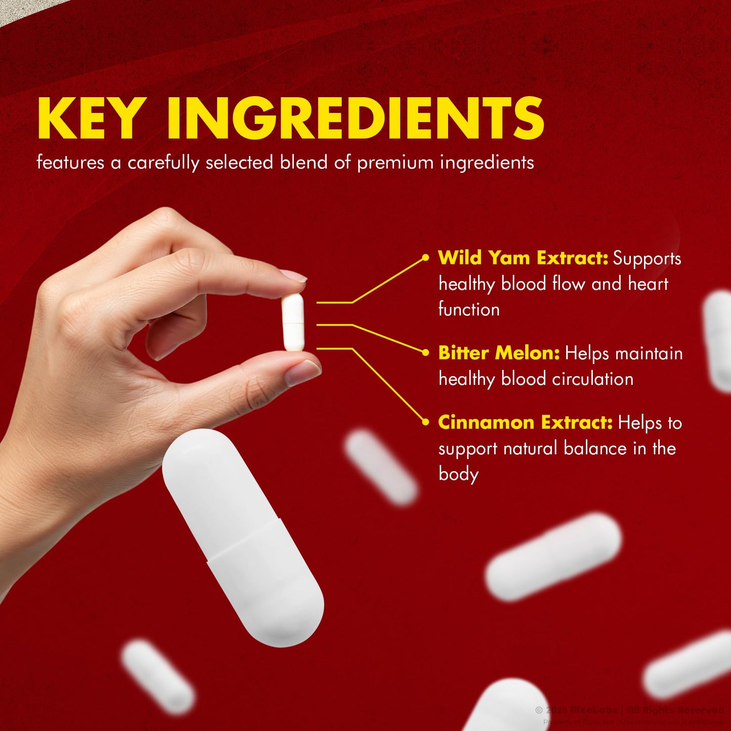 Rize Labs Diabacore Dietary Supplement 300 Capsules