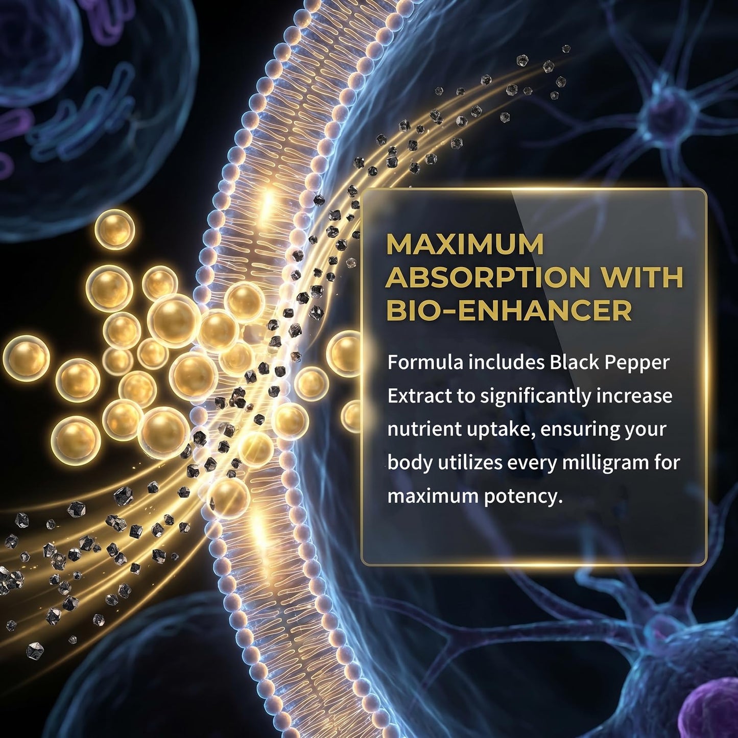 ZIIYONG NMN Supplement 1000mg Pure Organic 4-in-1 NAD+ Booster with Resveratrol, PQQ & Black Pepper Extract, 60 Capsules