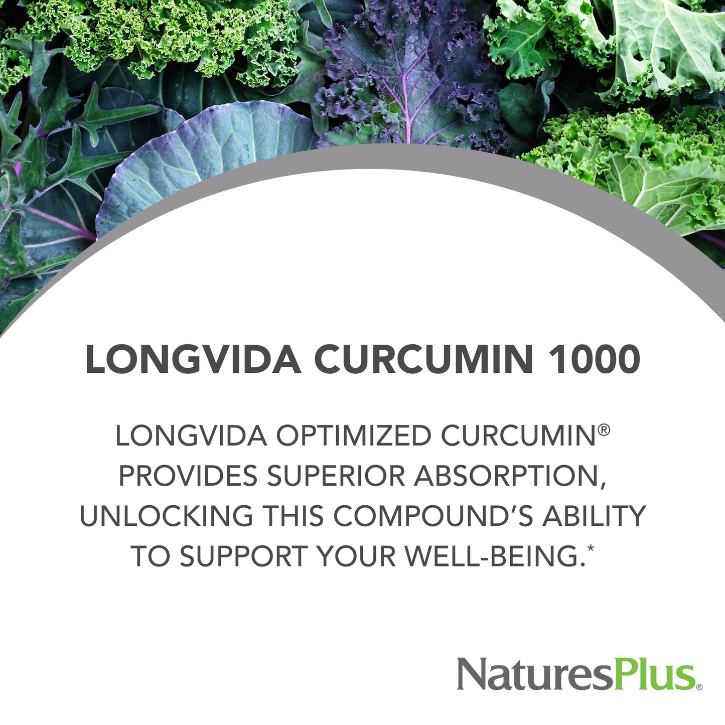 NaturesPlus PRO Longvida Curcumin 1000 mg Tablet, 60 Tablets