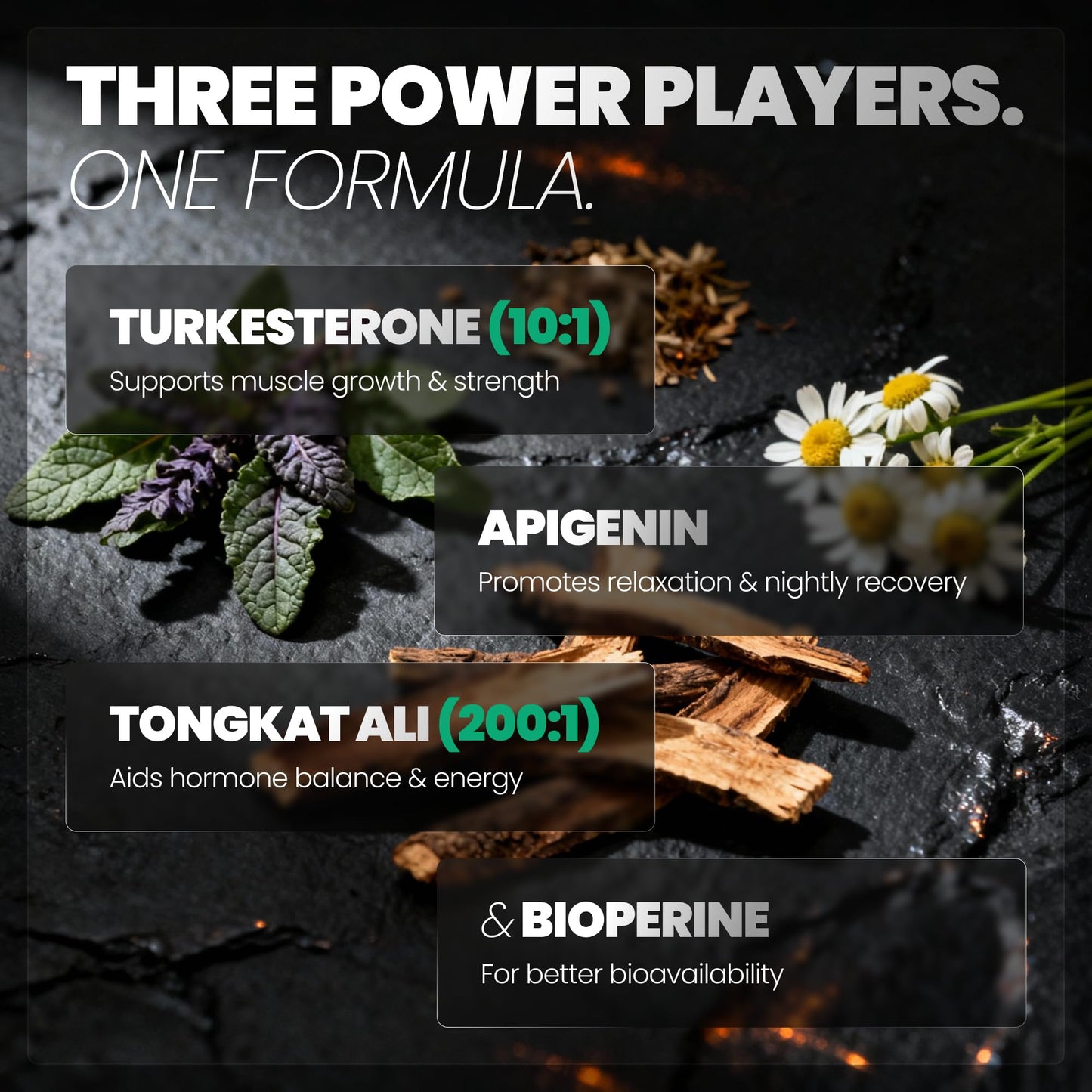 Ageless Pursuit Labs Turkesterone & Tongkat Ali for Men Capsules 60 Count