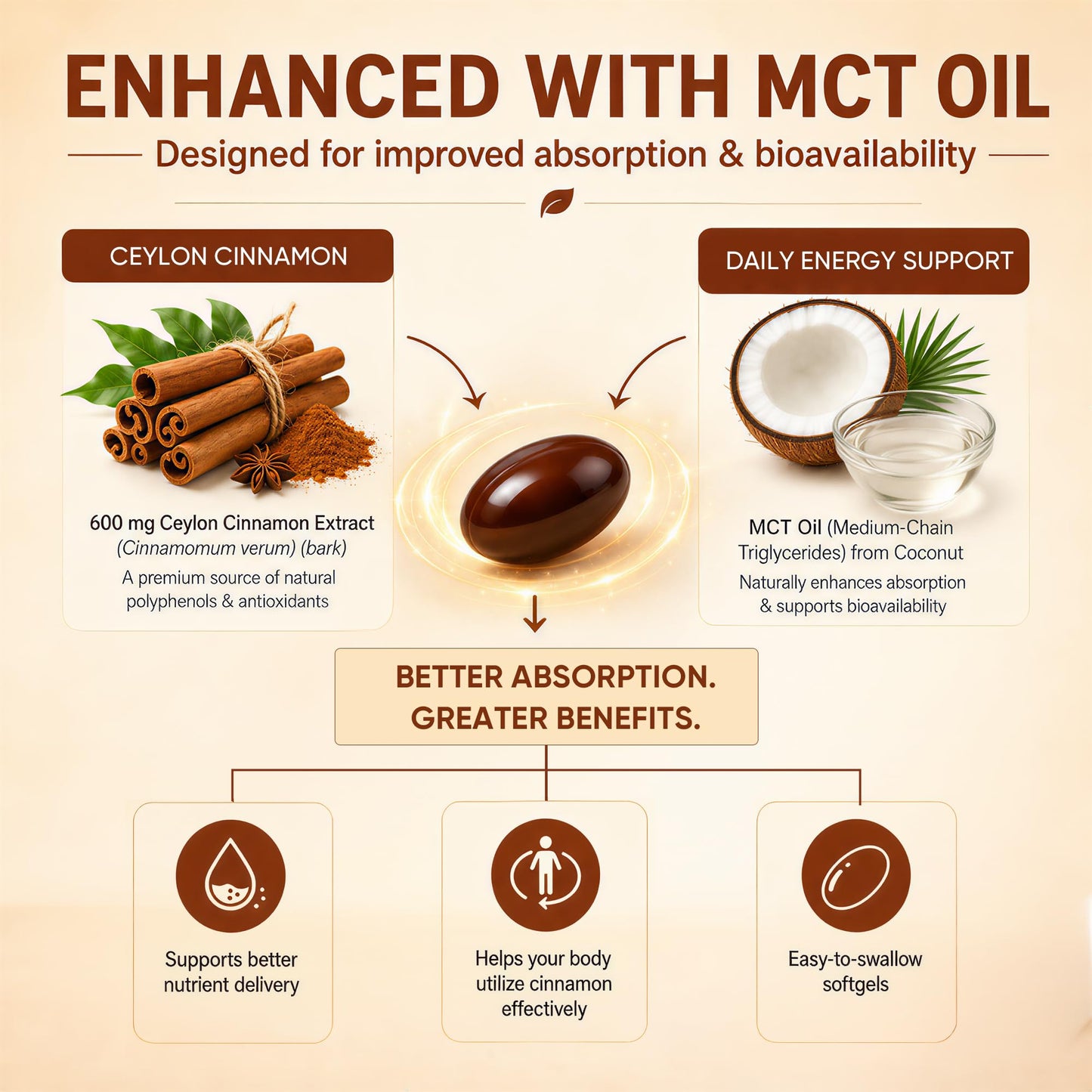 Sun Radiance Ceylon Cinnamon Softgels 600mg with MCT Oil - High Bioavailability Digestive Comfort & Overall Wellness, 300 Softgels