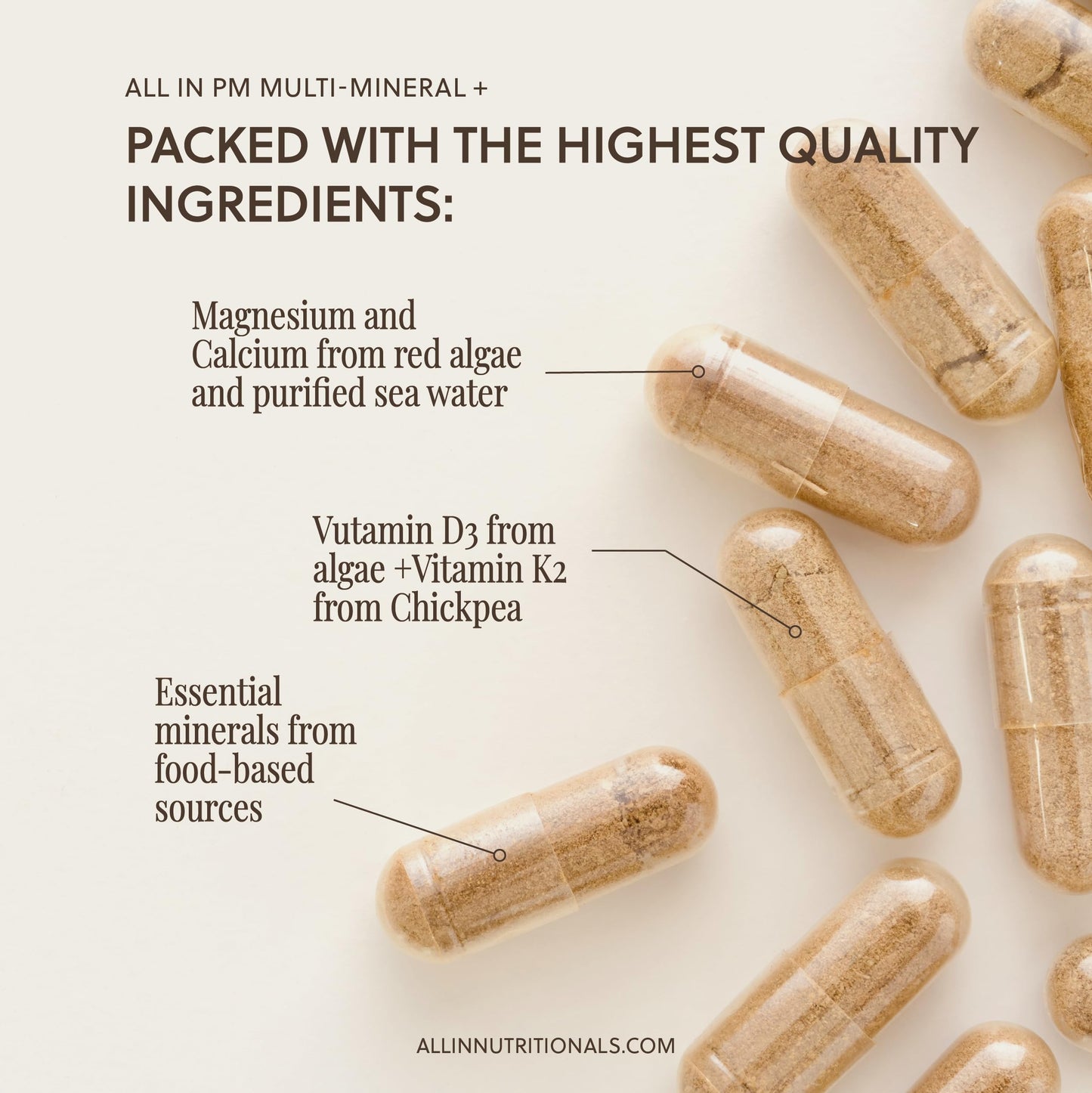 All In Nutritionals PM Multi-Mineral+ Tablet, 120 Count