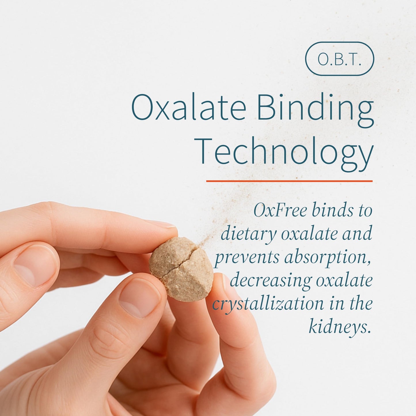 LithoLyte OxFree Oxalate Reducing Tablets, 120 Tablets