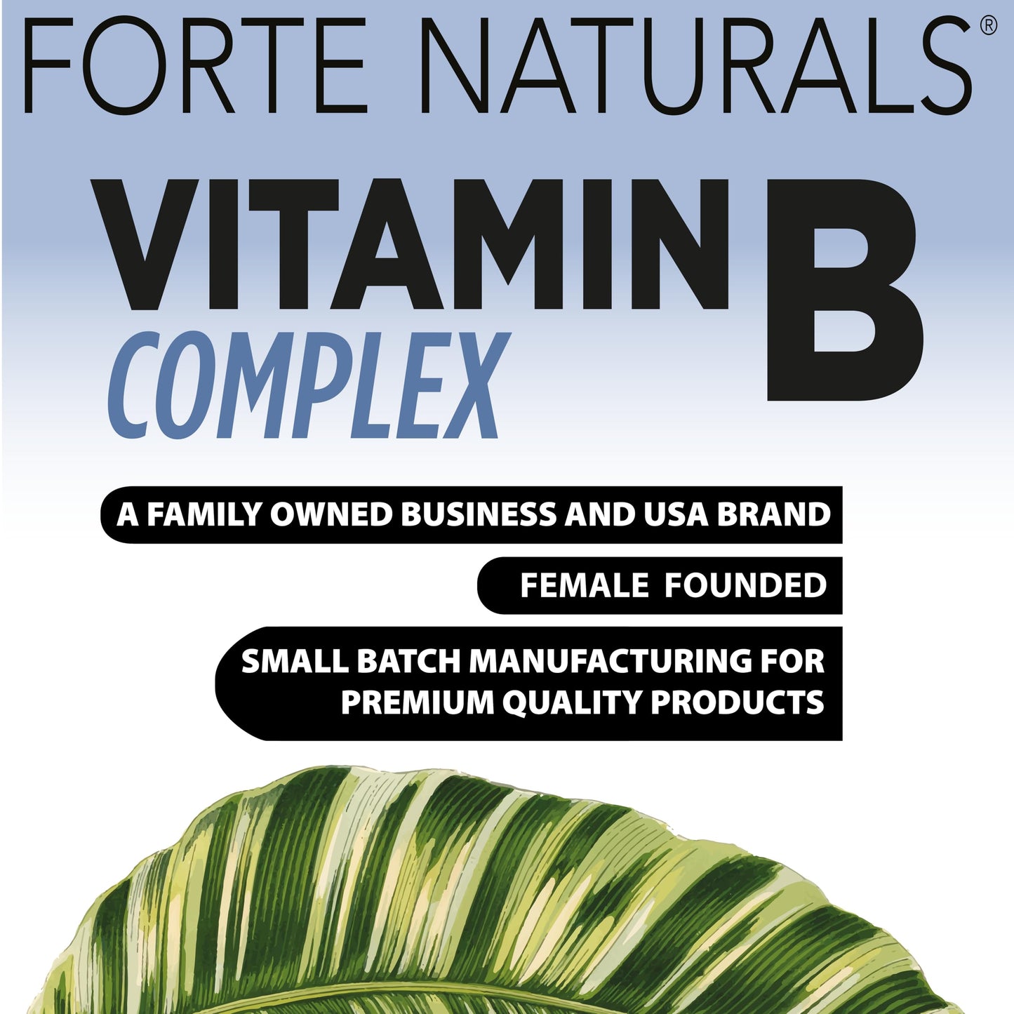 FORTE NATURALS Biotin Vitamin B Complex with B12, Energy & Mood Support, Folic Acid, Prenatal & Postnatal, Tablets, 60 Count
