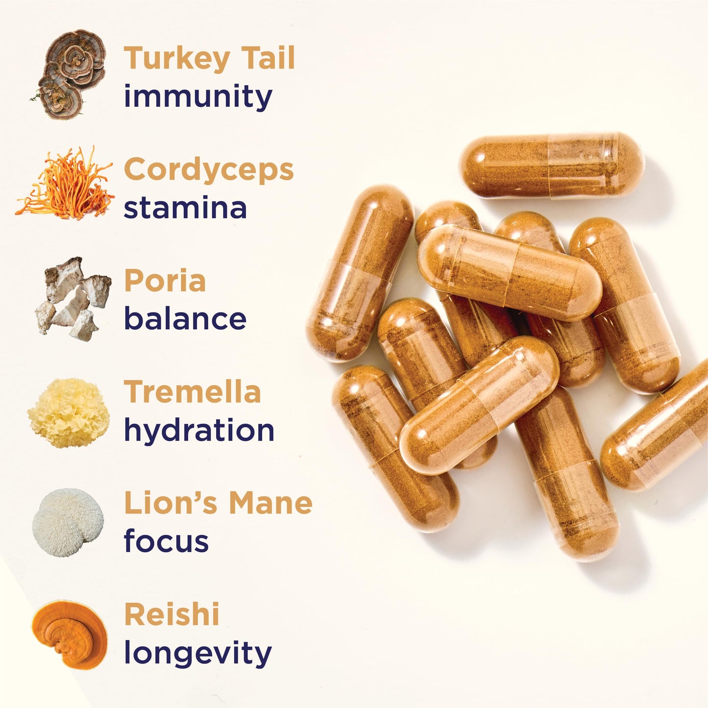 Rasa Magnificent Mushrooms Capsules, 60 Count