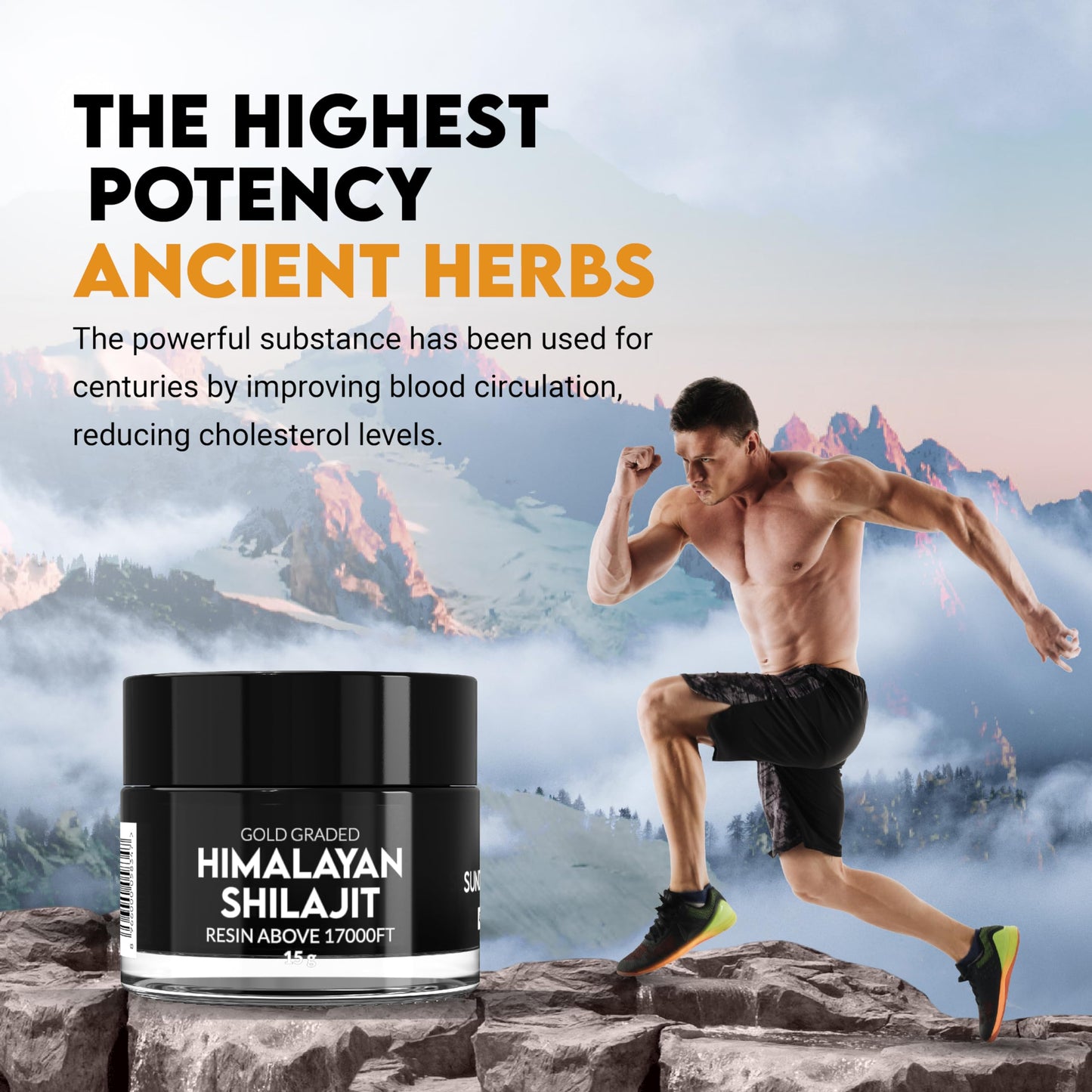 PakShilajit Gold Graded Himalayan Shilajit Softgel, 1 Count