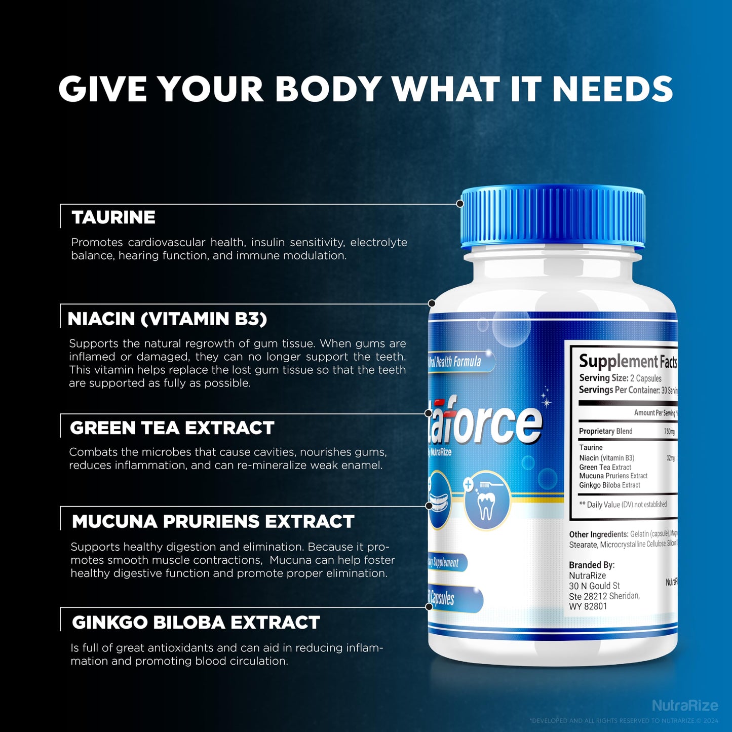 NutraRize Dentaforce Capsules, 300 Capsules