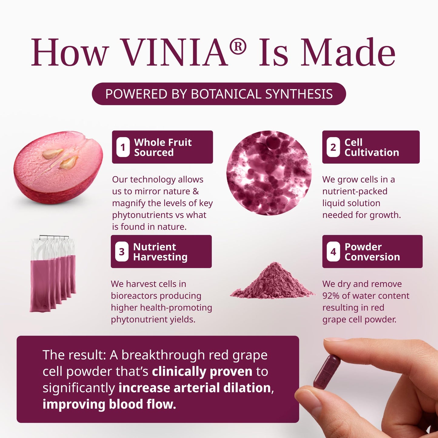 VINIA Piceid Resveratrol Supplement Capsules, 30 Count