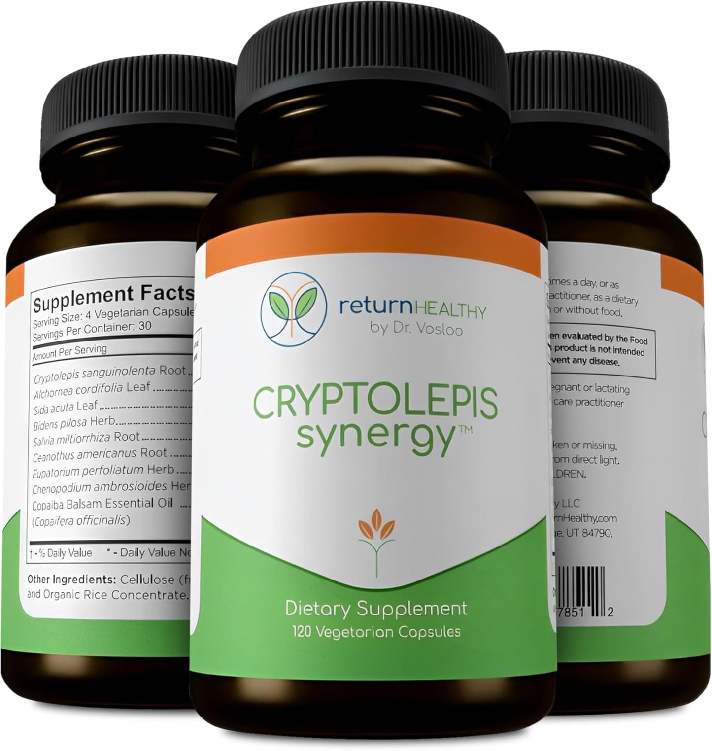 Return Healthy Cryptolepis Synergy Immune Support Vitamins Immune System Booster for Adults, Liver, Lymphatic & Immune Support Supplement Supports Lyme & Natural Parasite Defense, 360 Capsules