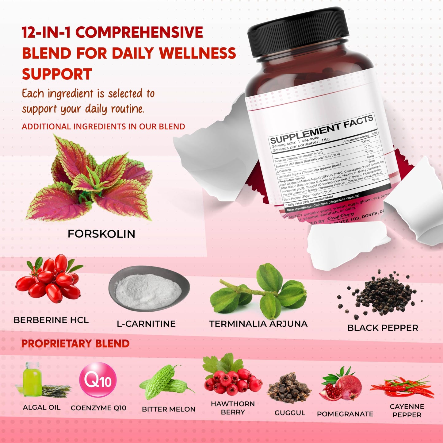 PEAKPURY All-in-1 Herbal Blend with Forskolin, Berberine & L-Carnitine – Daily Wellness Support Capsules, 150 Count