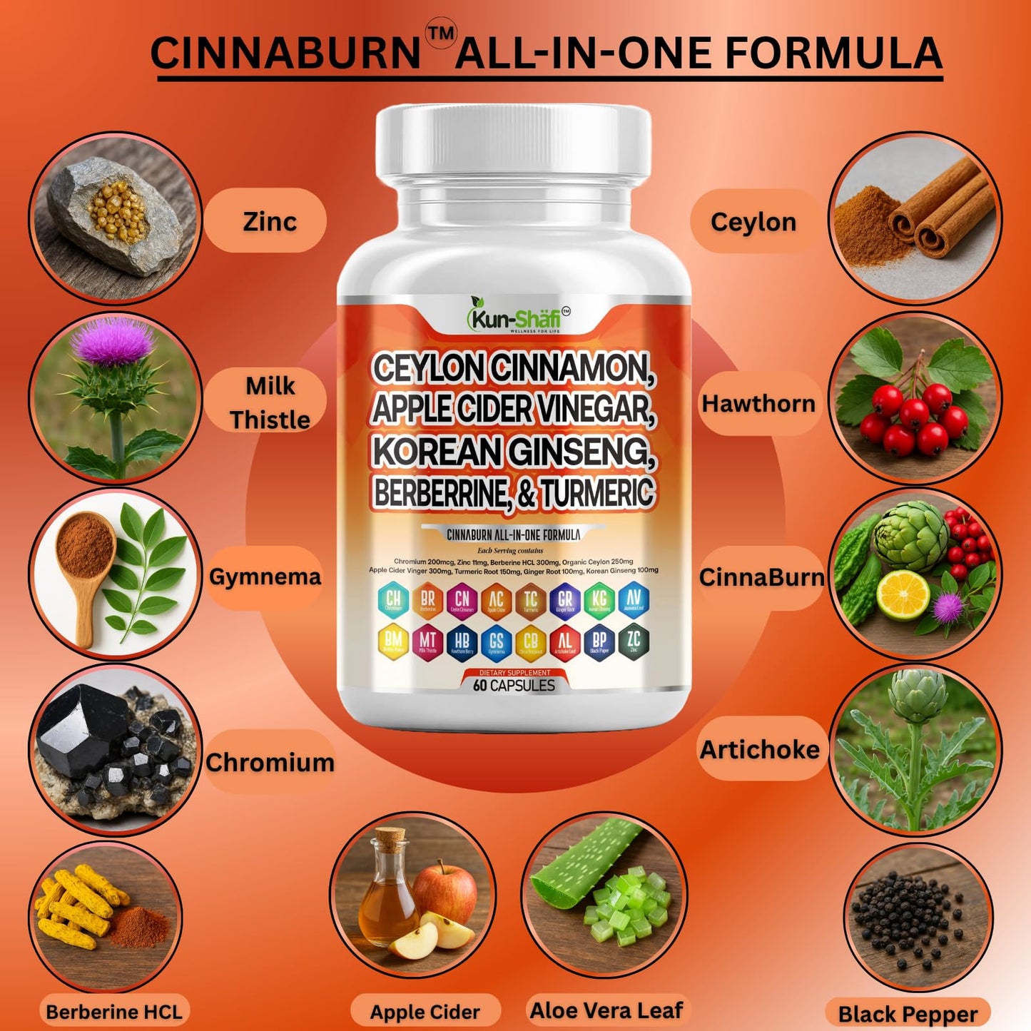 Kun Shafi Ceylon Cinnamon Complex with Berberine Apple Cider Vinegar Plus Bitter Melon Gymnema Ginseng Chromium & Turmeric Milk Thistle, 60 Capsules