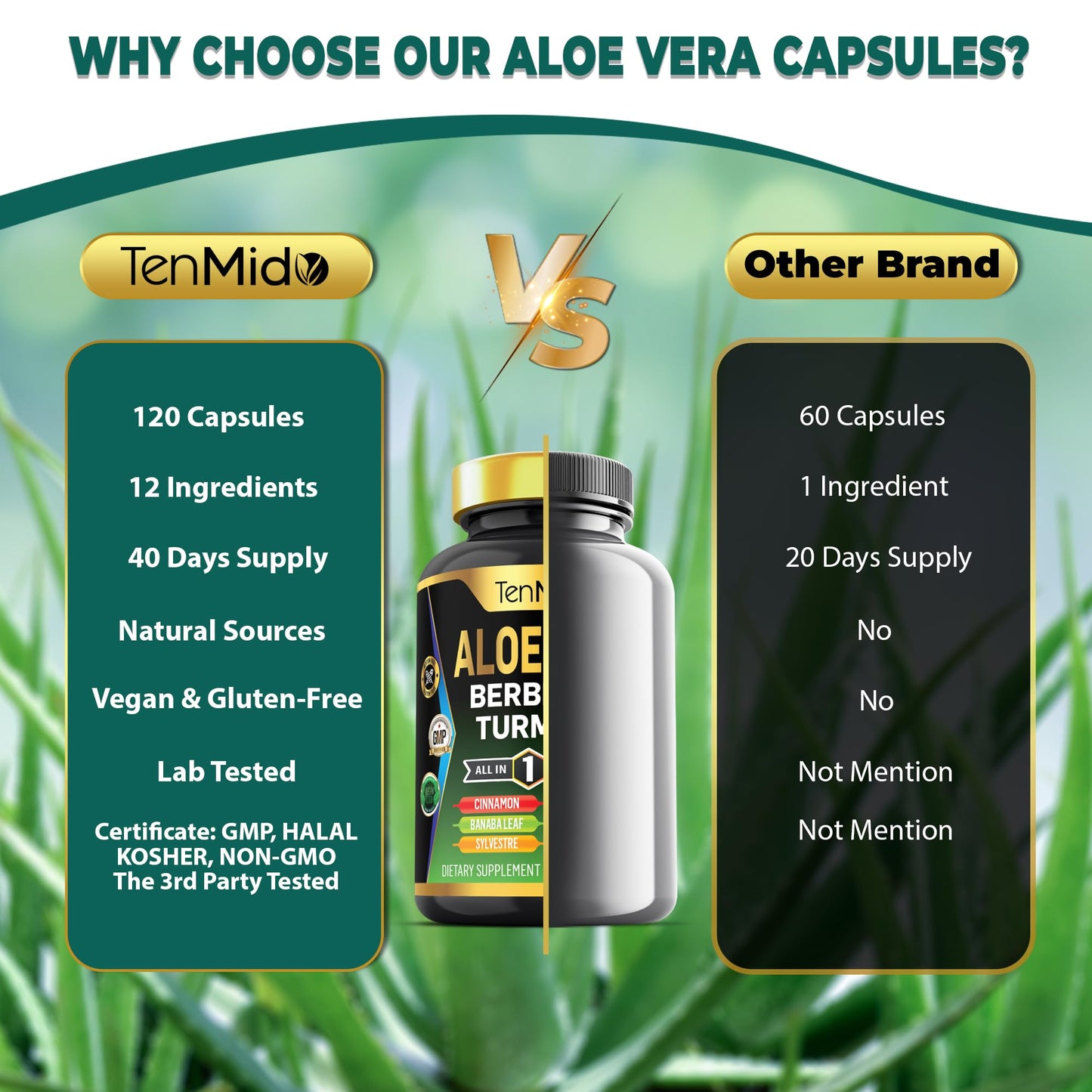 Tenmido Aloe Vera Capsules 120 Capsules