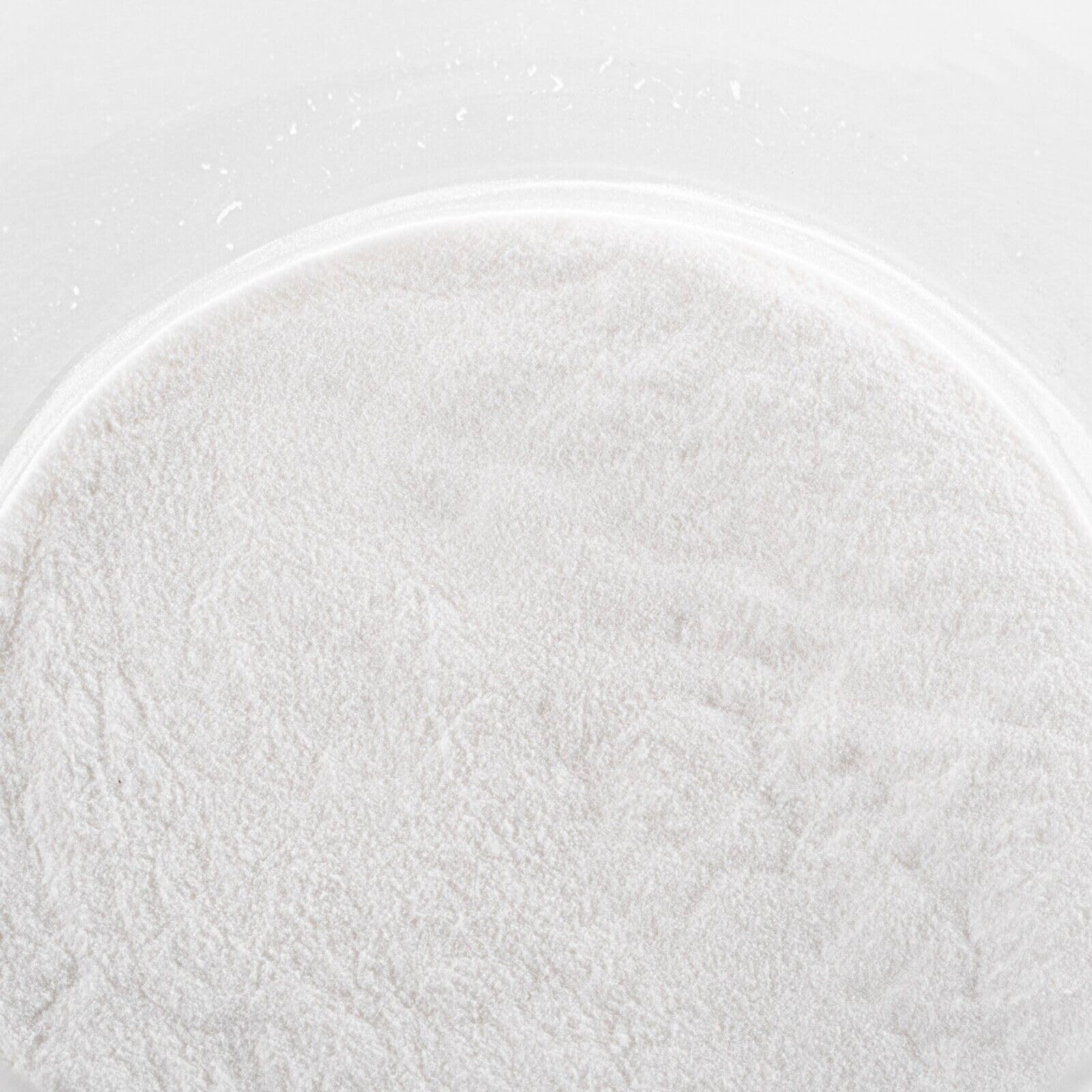 DMSOSTORE Sodium Benzoate Powder, 480 Ounces