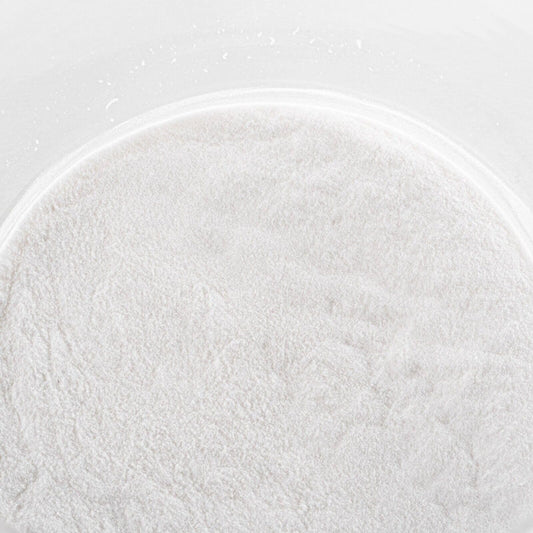DMSOSTORE Sodium Benzoate Powder, 480 Ounces