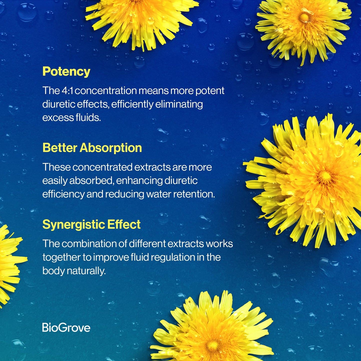 BioGrove Water Pills for Swollen Feet and Legs Capsule 90 Count