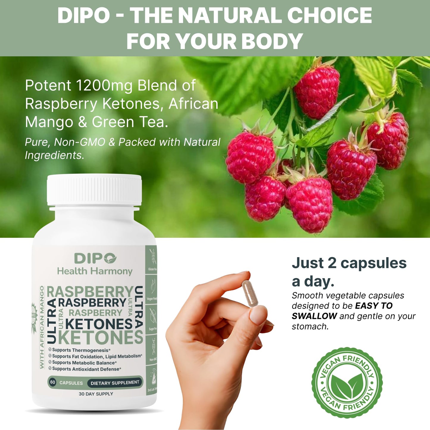 DIPO HEALTH HARMONY Raspberry Ketones Ultra 500mg with African Mango Seed, Green Tea Extract & Apple Cider Vinegar - Metabolism & Healthy Weight Management Supplement, 60 Capsules