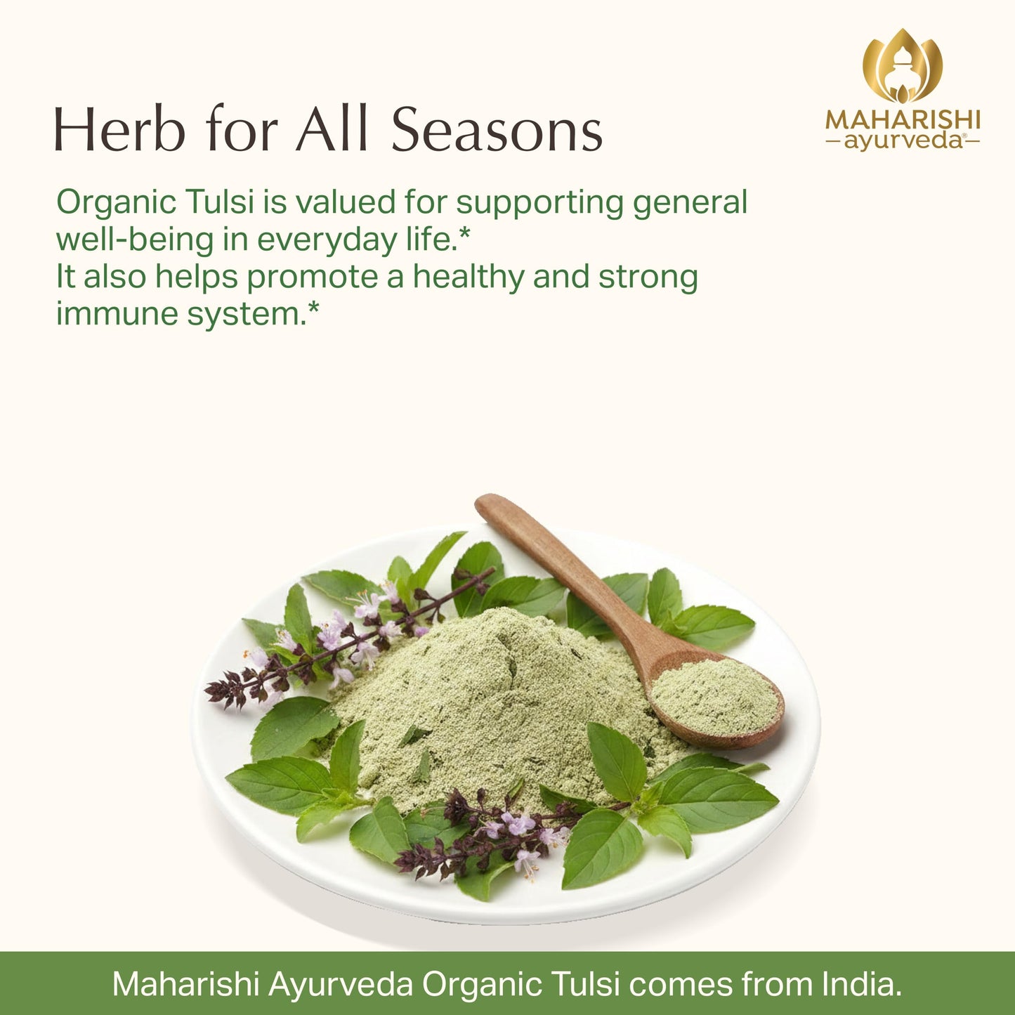 Maharishi Ayurveda Tulsi 500 mg Tablets, 1 Count