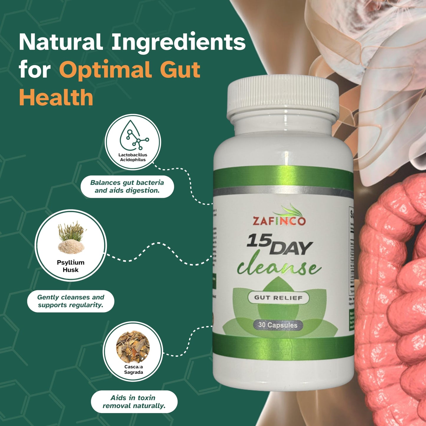 ZAFiNCO Gut Relief 15 Day Colon Cleanse & Detox Probiotics, Non-GMO, 30 Capsules