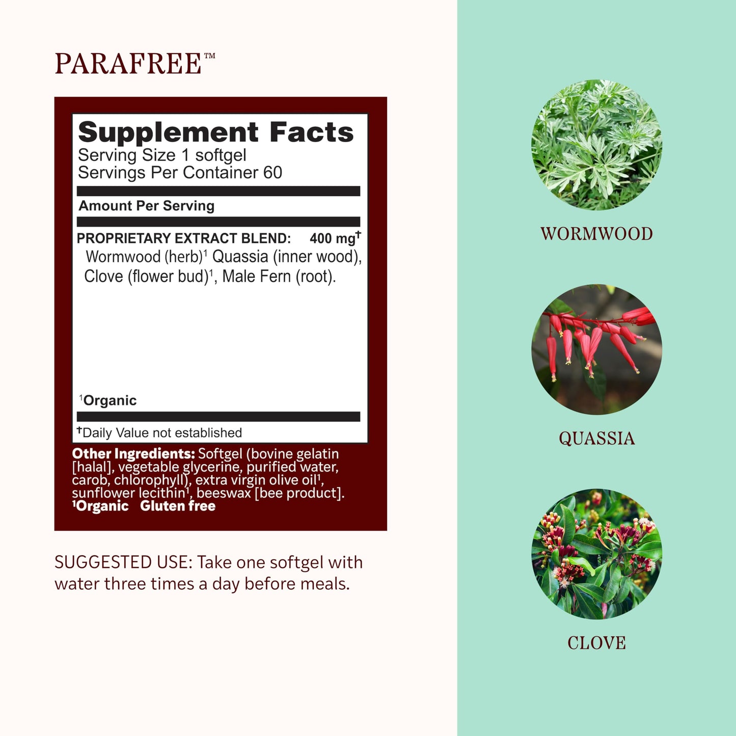 Herbs Etc. ParaFree Softgels 60 Count