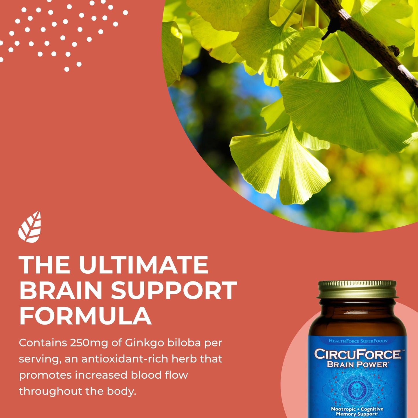 HEALTHFORCE SUPERFOODS CircuForce Brain Power 90 Capsules