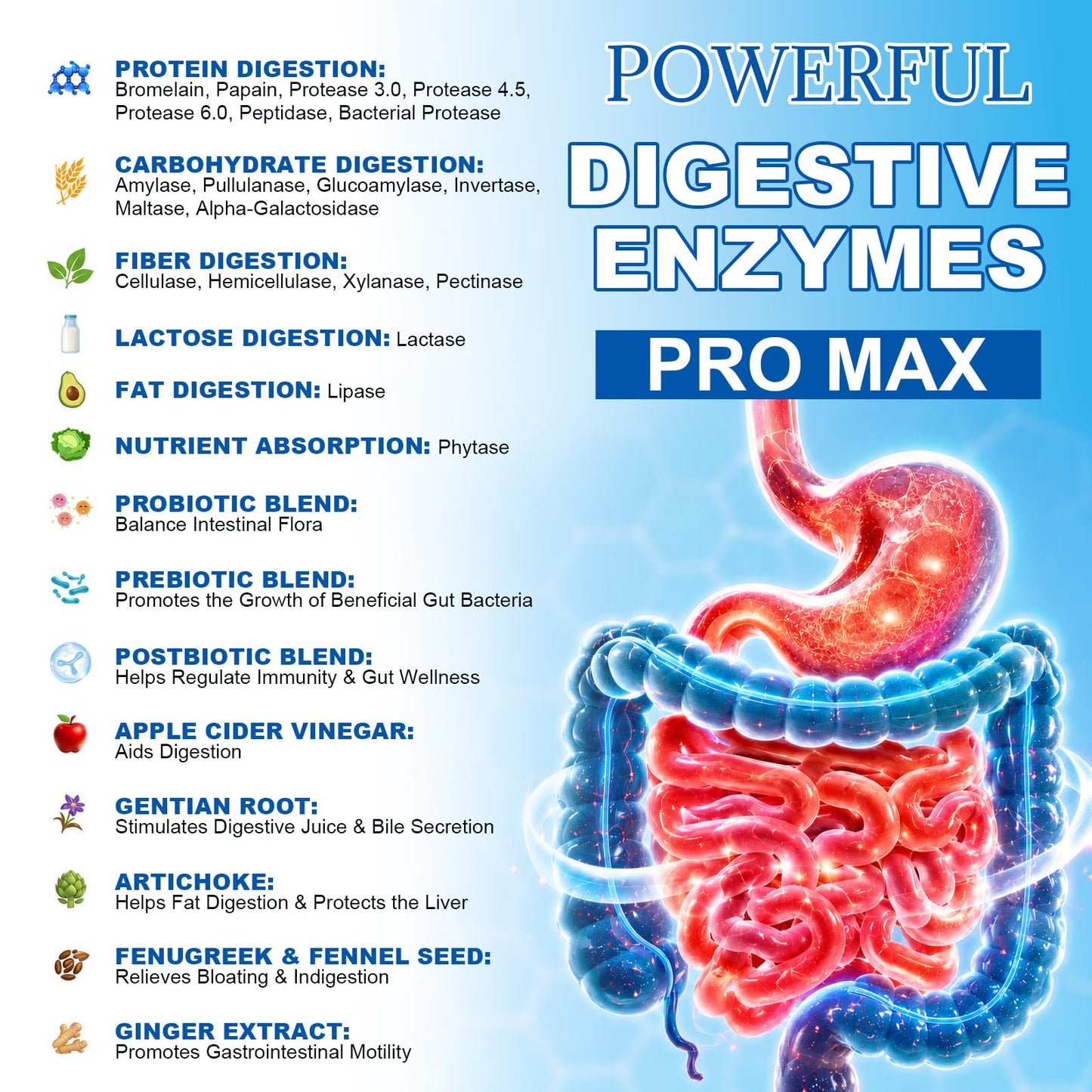 Totaria Digestive Enzymes Pro Max 1000mg, 25-in-1 with Apple Cider Vinegar, Probiotics, Prebiotics, Postbiotics, Bromelain, Papain, Lactase, Gentian, Artichoke, Ginger for Digestion, Bloating & Gut, 120 Capsules