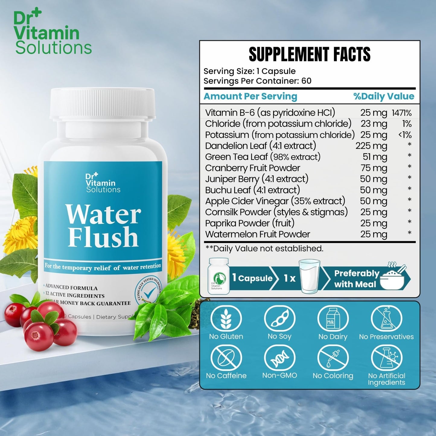 DR VITAMIN SOLUTIONS Diuretic Water Pills for Weight Control Capsule 60 Capsules