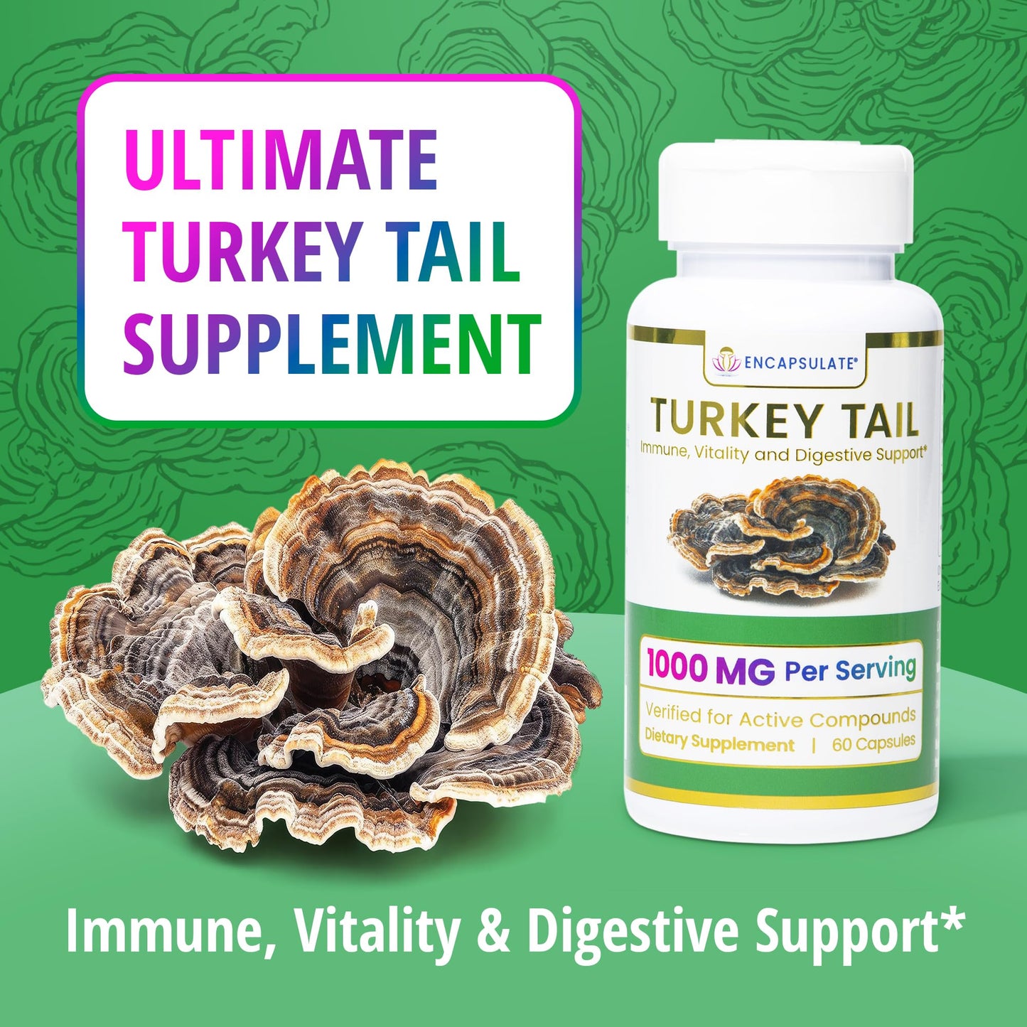 ENCAPSULATE Turkey Tail Capsule 8:1 Extract – Premium Organic Fruiting Body – Adaptogen Mushroom Supplement for Digestive, Gut & Immune Support – Lab Tested & Non-GMO – 60 Capsules