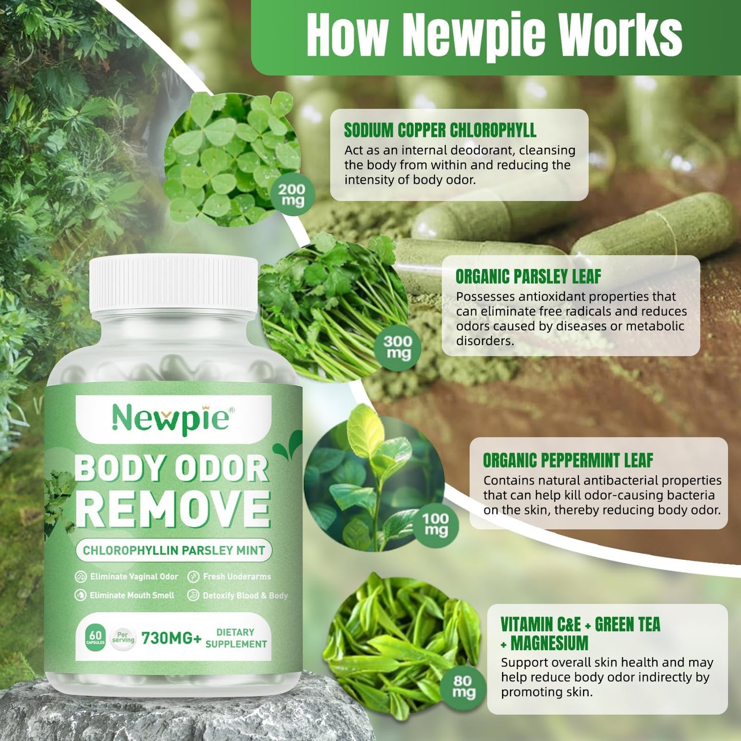 Blltzzz Newpie Body Deodorizing Supplement Chlorophyll Capsules for Skin Odor, Fresh Breath & Gut Odor Control for Men & Women | Vegan with Parsley Leaf Green Tea, Gluten Free, 60 Capsules