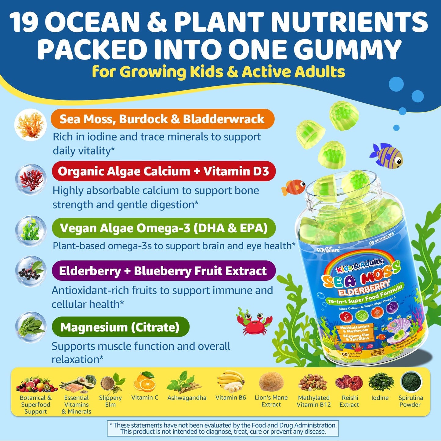 EnvyCure Sea Moss + Elderberry Gummies for Kids & Adults, 60 Count