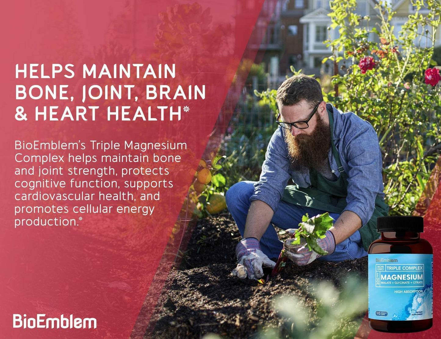 BioEmblem Triple Magnesium Complex and Turmeric Curcumin with TurmiPure Capsules, 2 Capsules