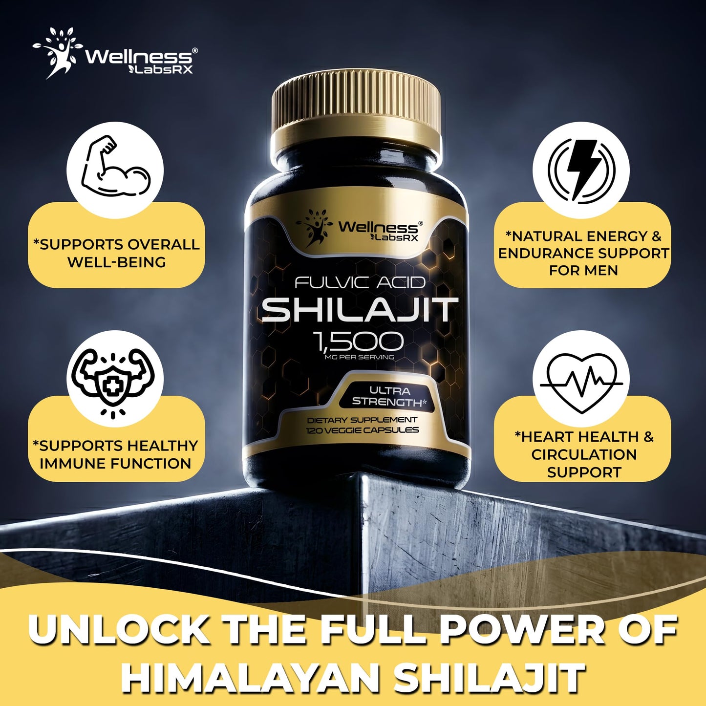 WELLNESS LABSRX Himalayan Shilajit Capsules, 240 Capsules