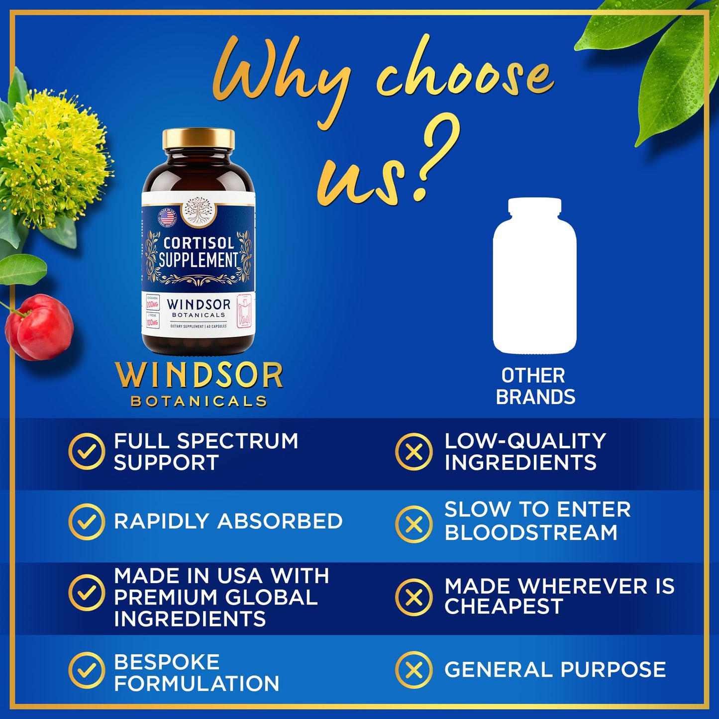 Windsor Botanicals 15-IN-1 Cortisol Supplements Capsules, 60 Count