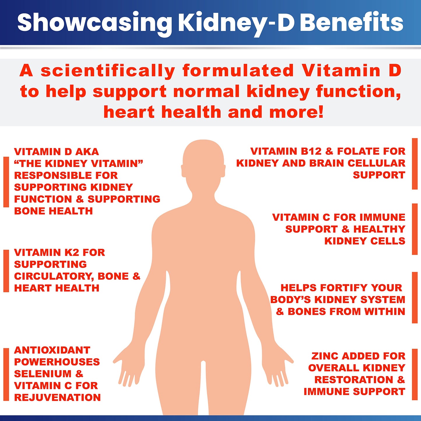 Kidney Restore Kidney-D 2-Pack Capsules