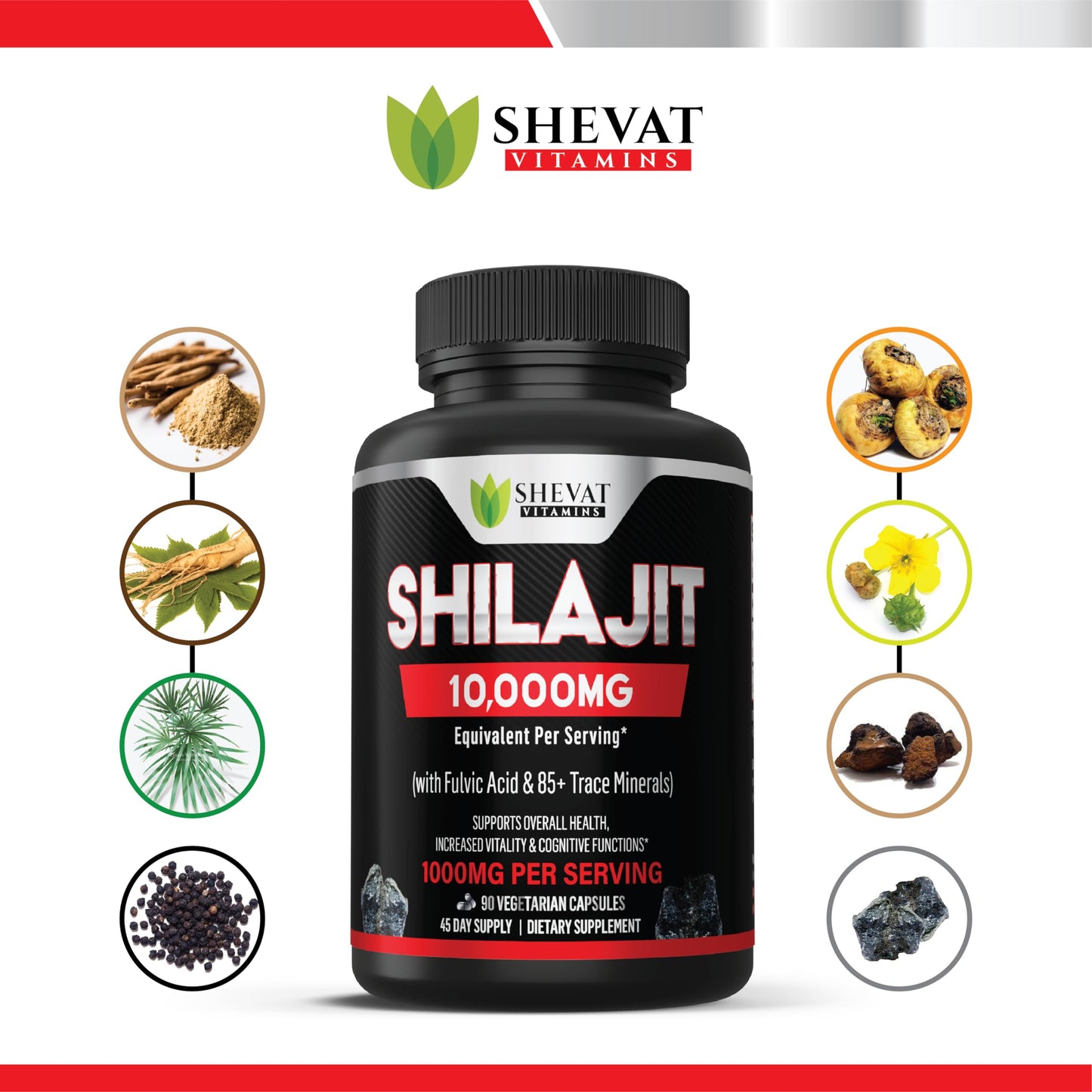 SHEVAT VITAMINS Shilajit Capsules 90-count