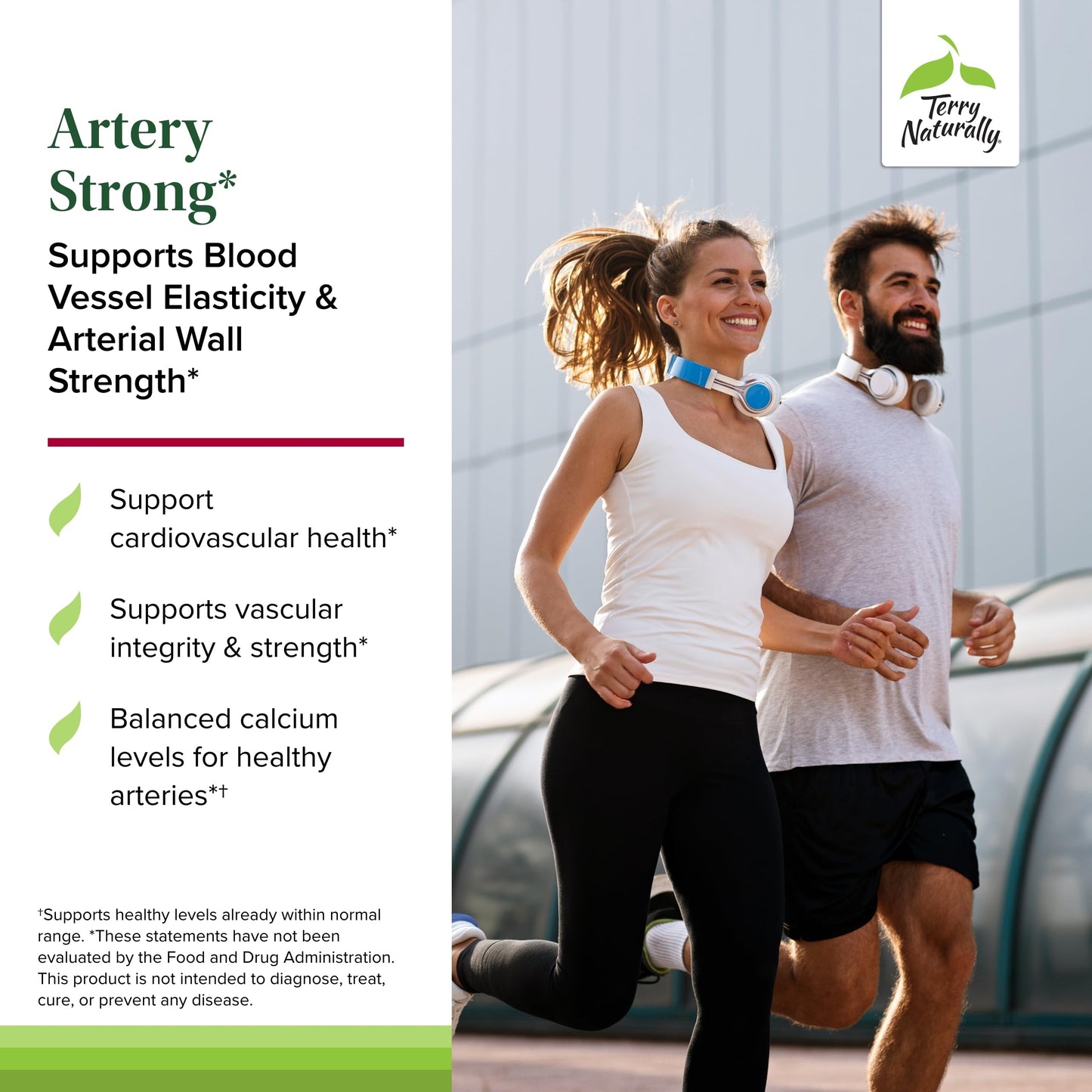 Terry Naturally Artery Strong Softgels 60 Count