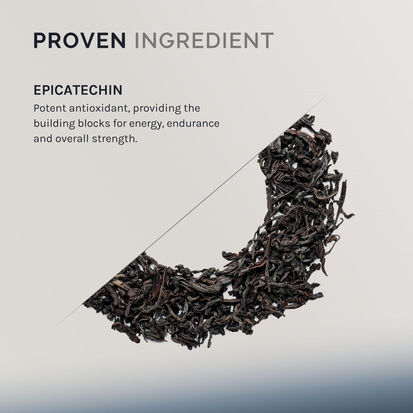 InfiniWell Epicatechin Supplement Capsules 60 Count
