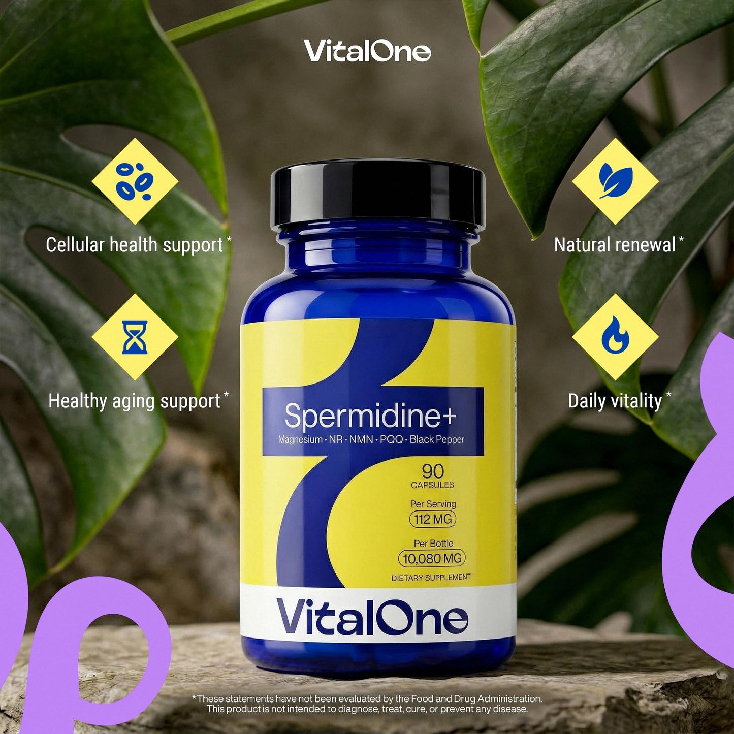 VitalOne Spermidine 12mg Supplement with NR, NMN, PQQ, Magnesium Bisglycinate & Black Pepper Extract Nicotinamide Riboside Blend Cellular Energy Support Capsules 90 Count