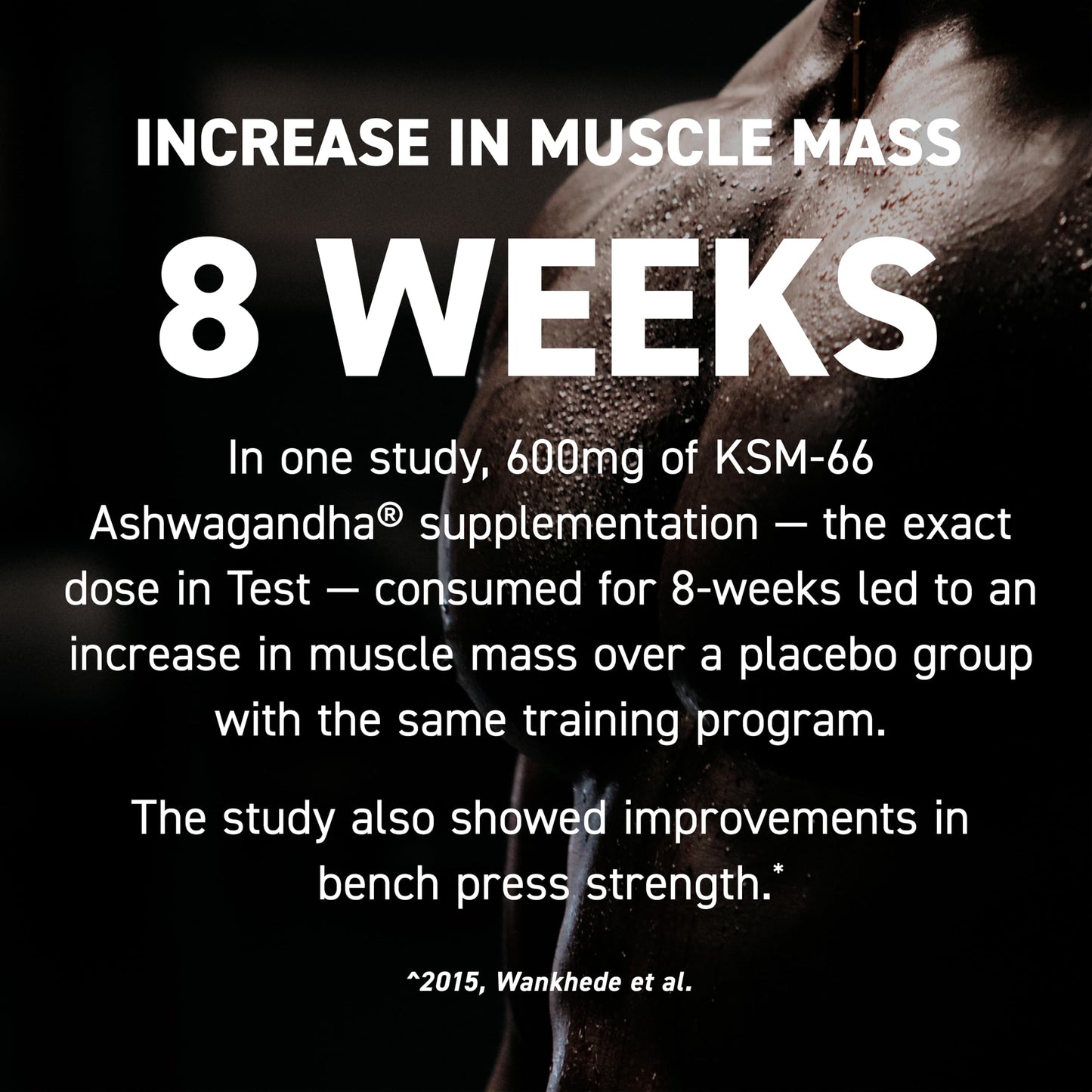 Kaged Test Capsules Powder 60 Servings