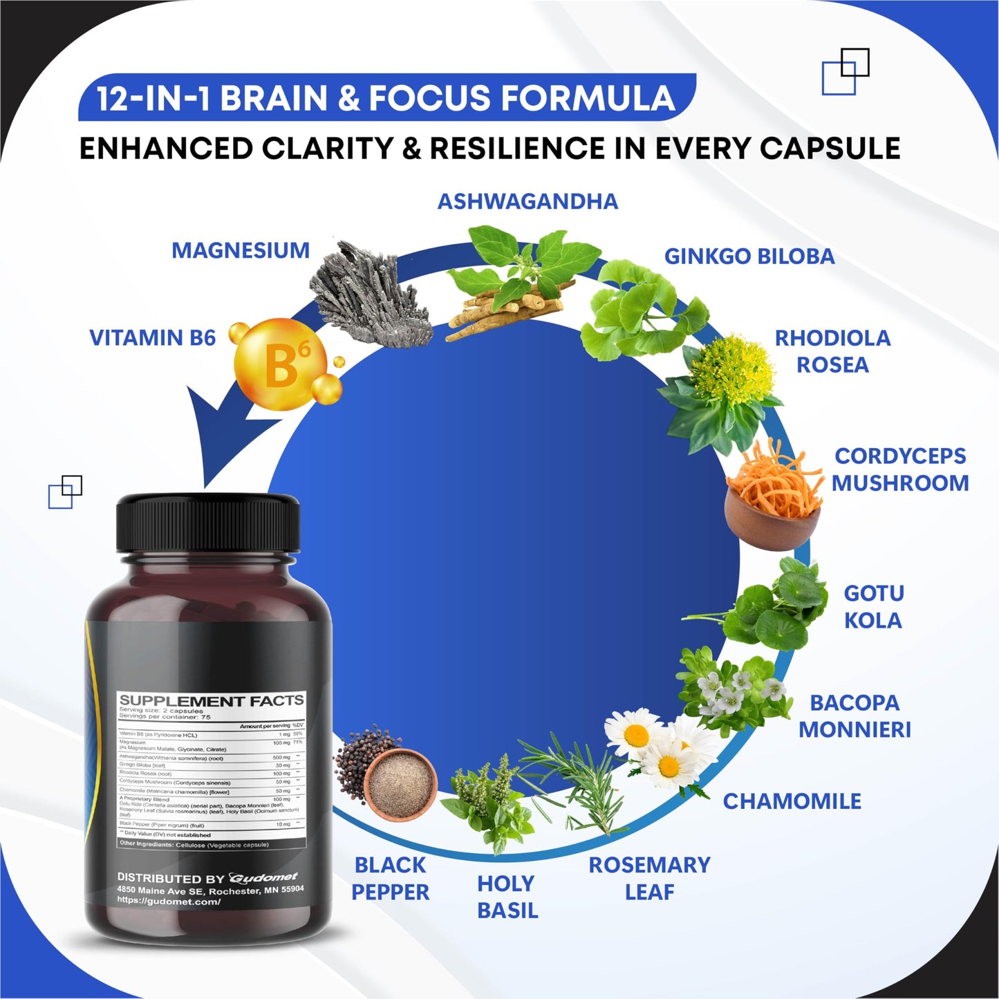 GUDOMET Brain Wellness Ginkgo Biloba Rhodiola Cordyceps Chamomile Ashwagandha Gotu Kola Bacopa Rosemary Holy Basil Black Pepper 150 Capsules