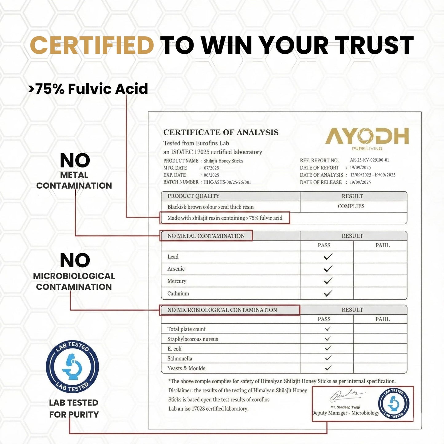 AYODH Pure Himalayan Shilajit 4 Softgels