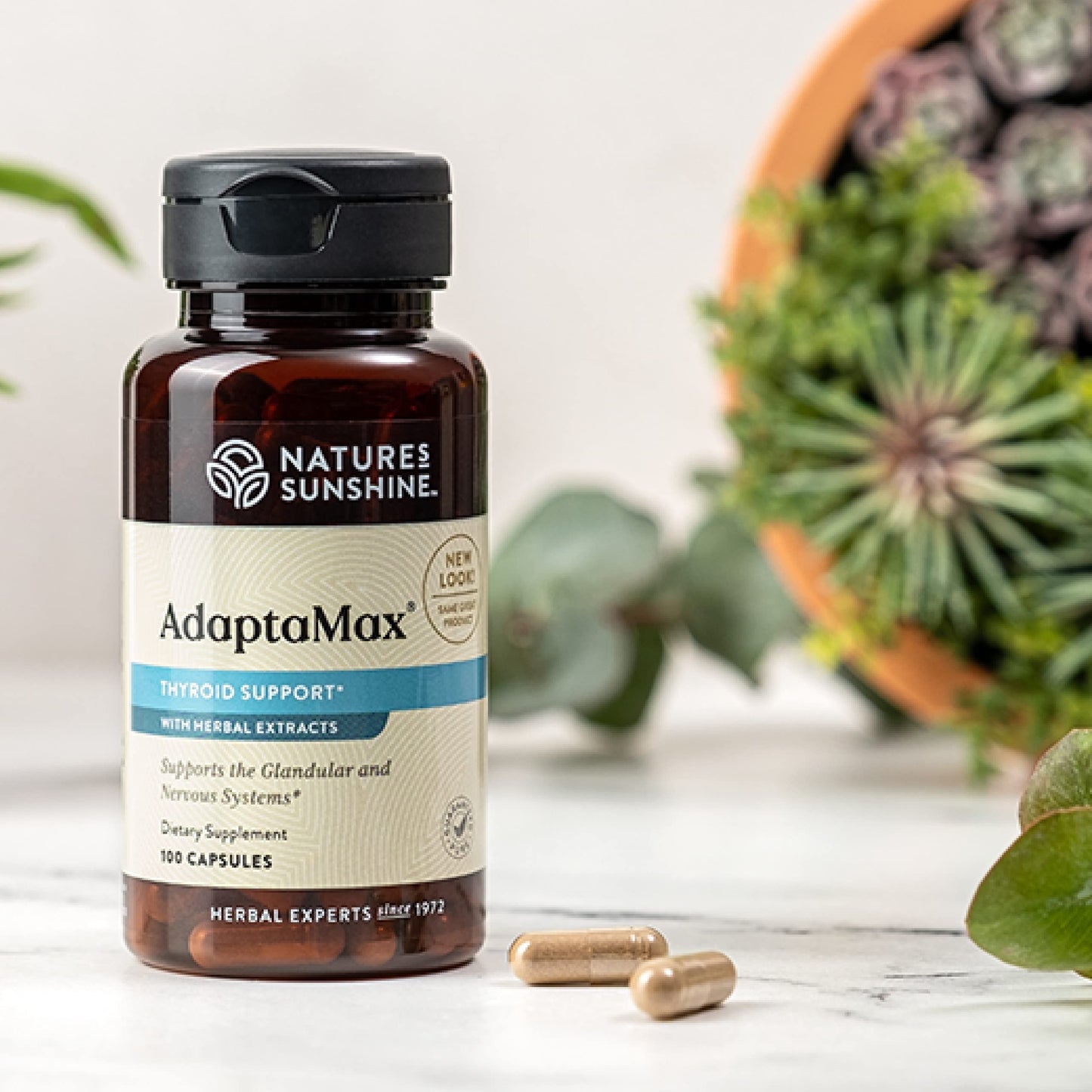 Nature's Sunshine Adaptamax Capsules 100