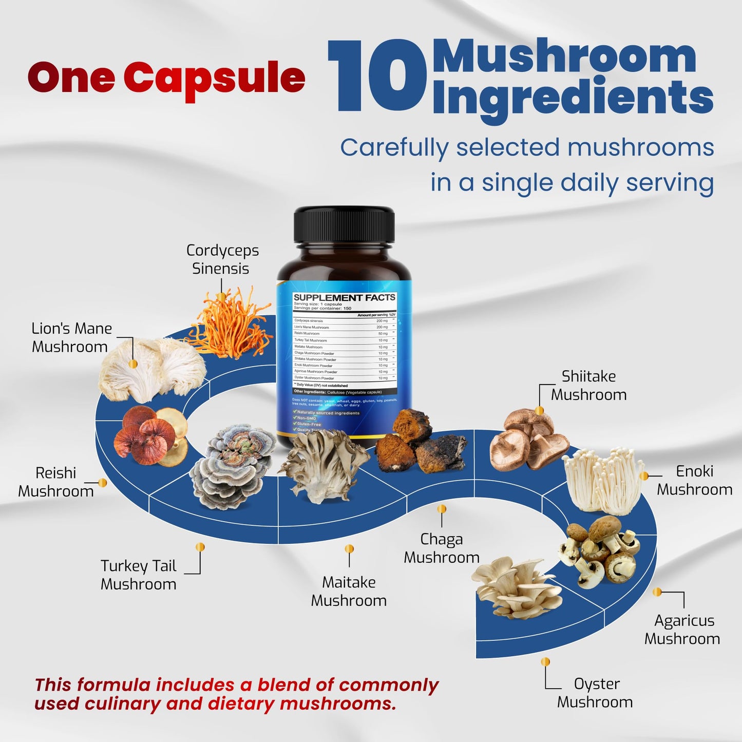 VEGATOT 10 in 1 High Strength Mushroom Supplement - Lions Mane, Cordyceps, Reishi - Brain Supplements for Memory and Focus Capsules 150
