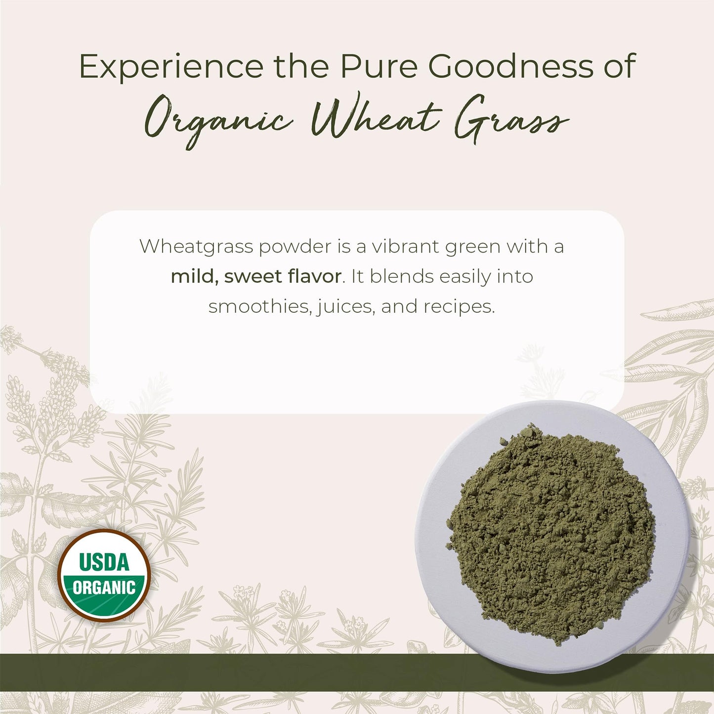 Starwest Botanicals Organic Wheatgrass Powder 16 Ounce