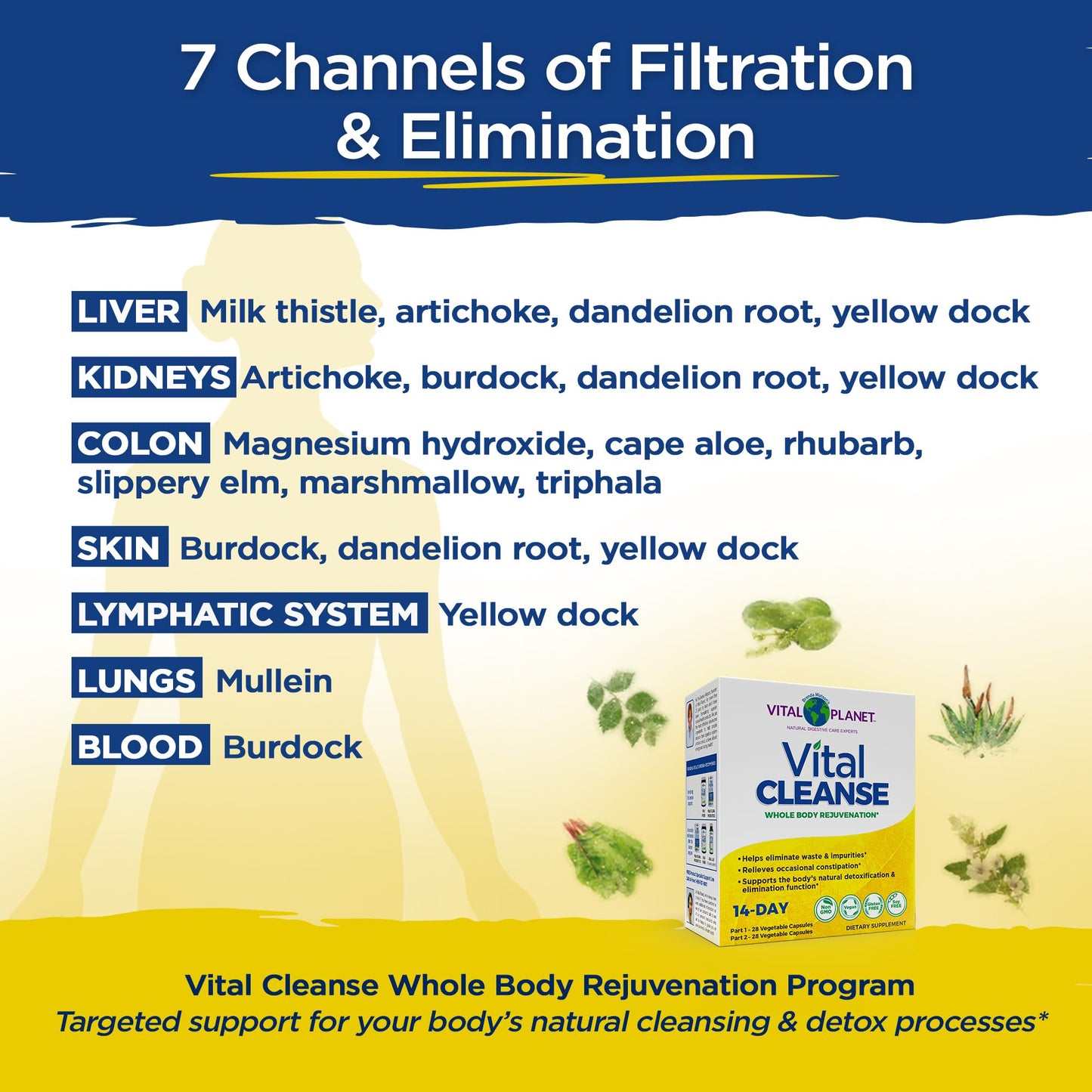 Vital Planet Vital Cleanse with Milk Thistle, Magnesium, Cape Aloe and Herbs Capsule, 56 Count