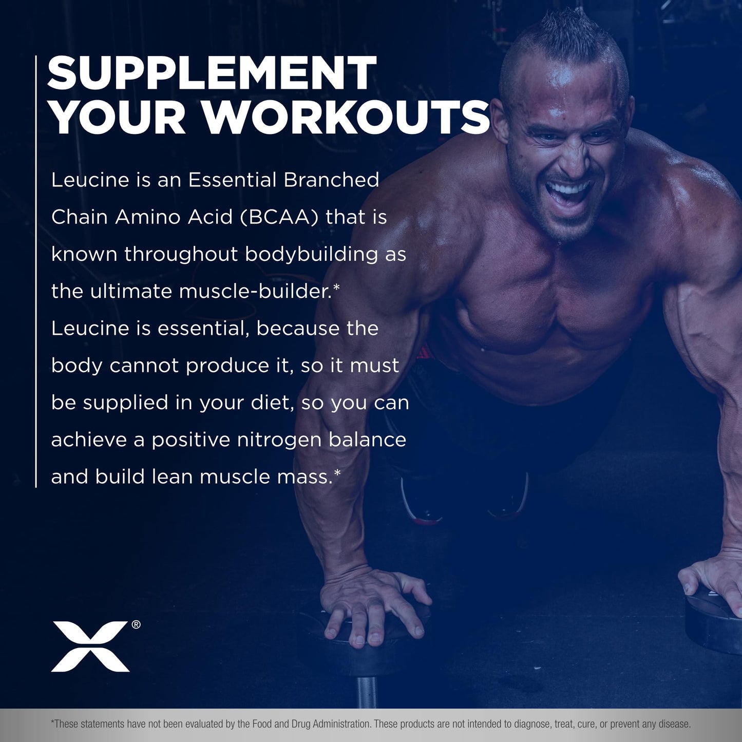 ALLMAX Leucine Powder 14.11 Ounce